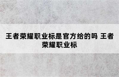 王者荣耀职业标是官方给的吗 王者荣耀职业标